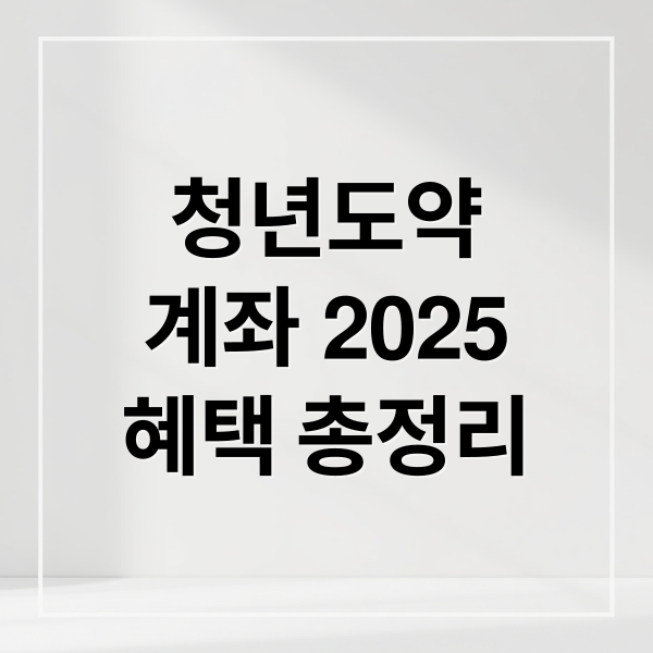 2025 청년도약계좌 신청기간·가입조건·정부기여금 총정리