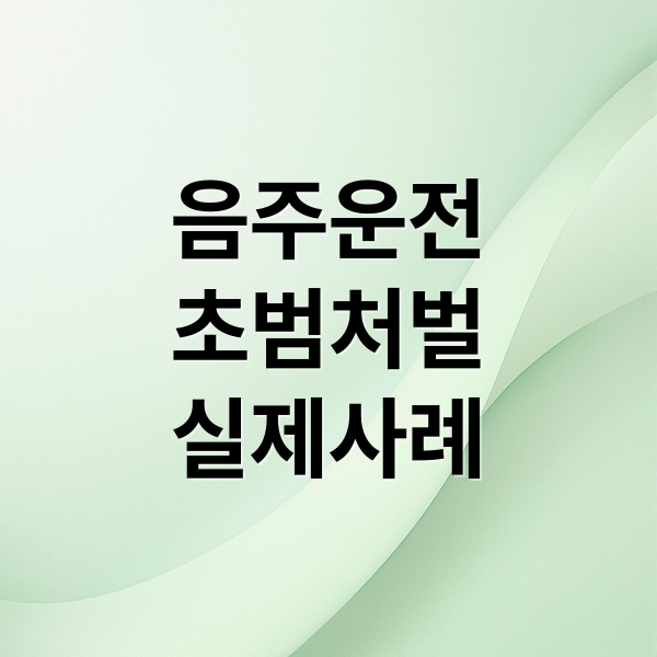 음주운전 초범 처벌 기준과 실제 사례 분석