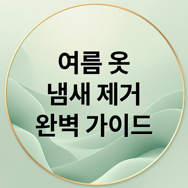 여름철 옷 땀냄새, 쉰내 완벽 제거! 원인부터 생활 습관까지