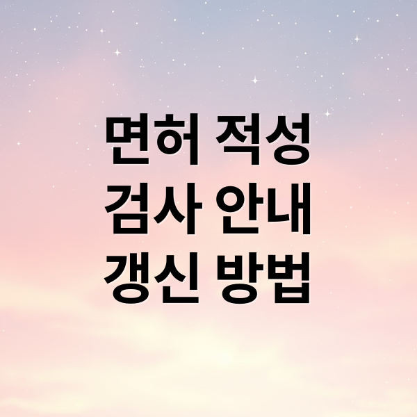 운전면허 적성검사, 건강검진과 차이점부터 갱신 절차까지 총정리