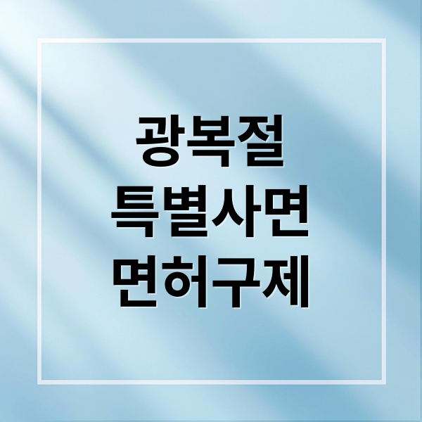 광복절 특별사면 운전면허 혜택: 취소·정지 구제 총정리