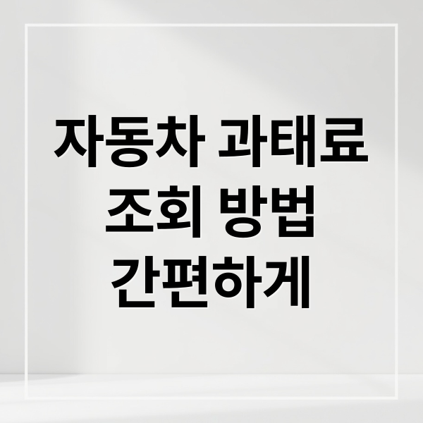 자동차 과태료 조회부터 검사, 관리까지 한눈에!